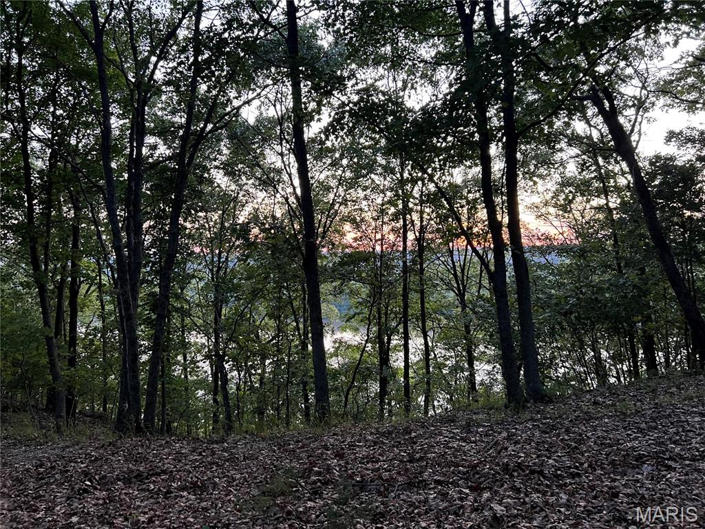 The Bluffs III - Land