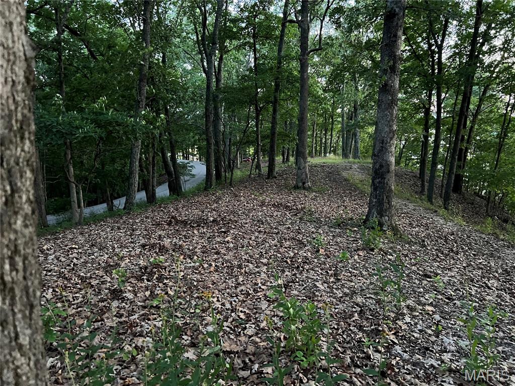 The Bluffs III - Land