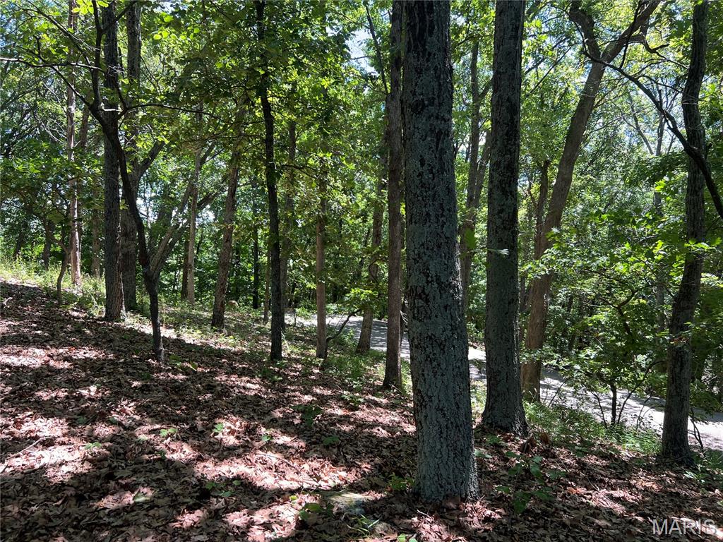 The Bluffs III - Land