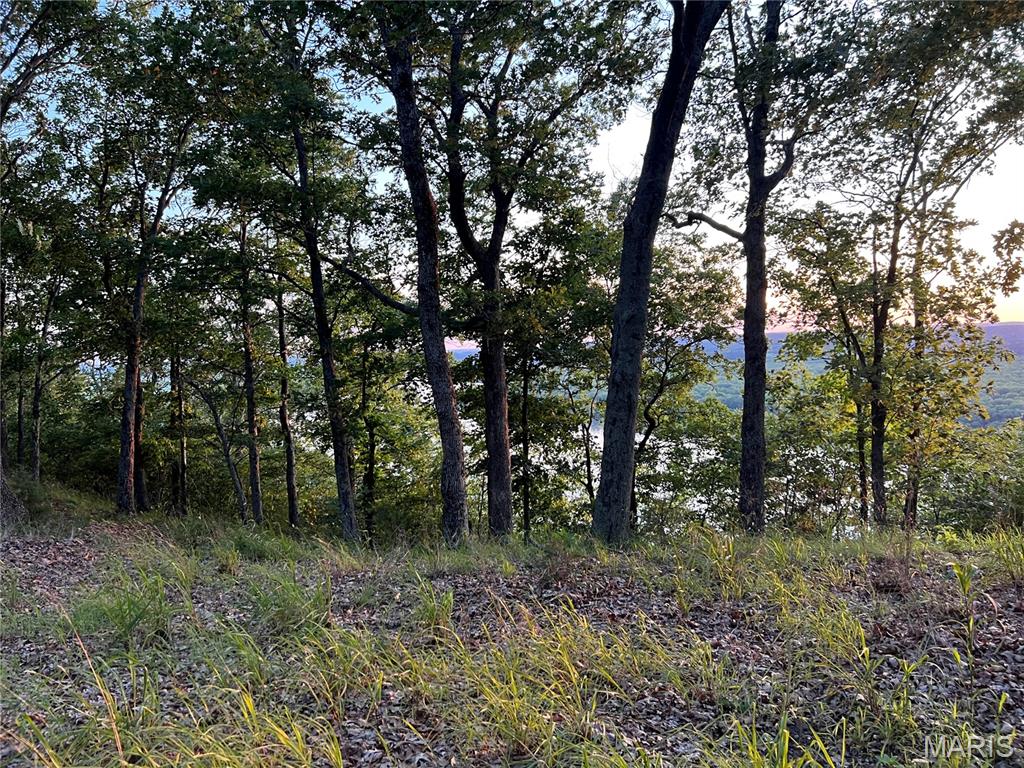 The Bluffs III - Land