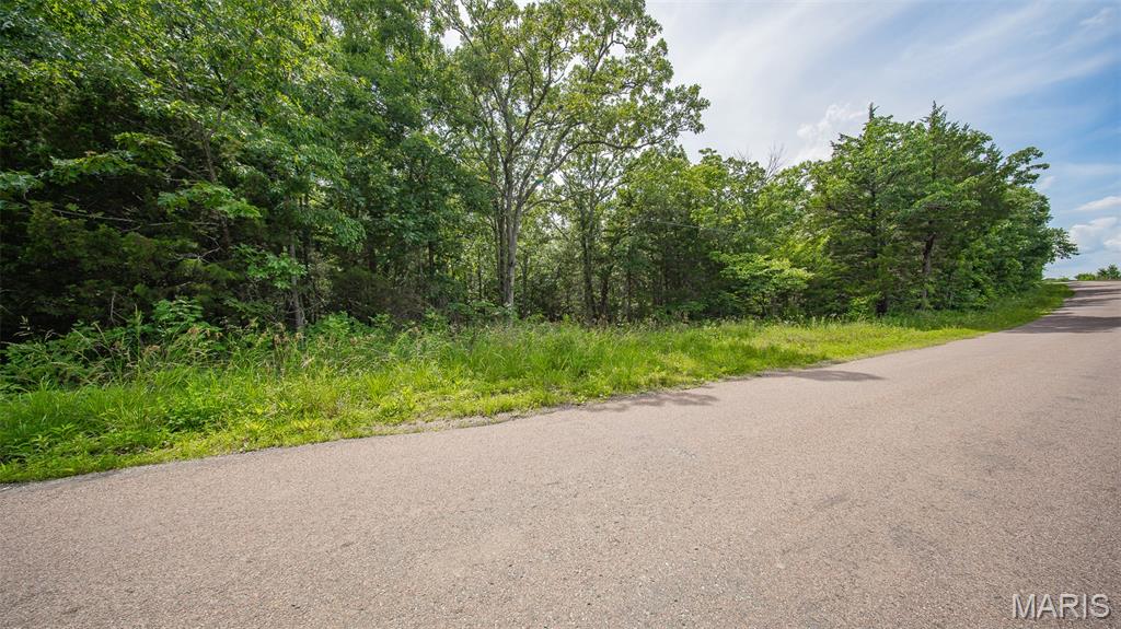 Discover the perfect setting for your dream home on this beautiful 21.72-acre tract m/l just minutes from Rolla. Surrounded by nature and abundant wildlife, this property offers the privacy and tranquility you've been searching for while remaining conveniently close to town. An established shared driveway provides easy access, and a driveway easement is already in place. With multiple suitable building sites and no restrictions, you'll have the freedom to design and build to fit your vision. Whether you're looking for a private homesite, recreational getaway, or investment opportunity, this versatile property offers endless possibilities in a peaceful country setting.