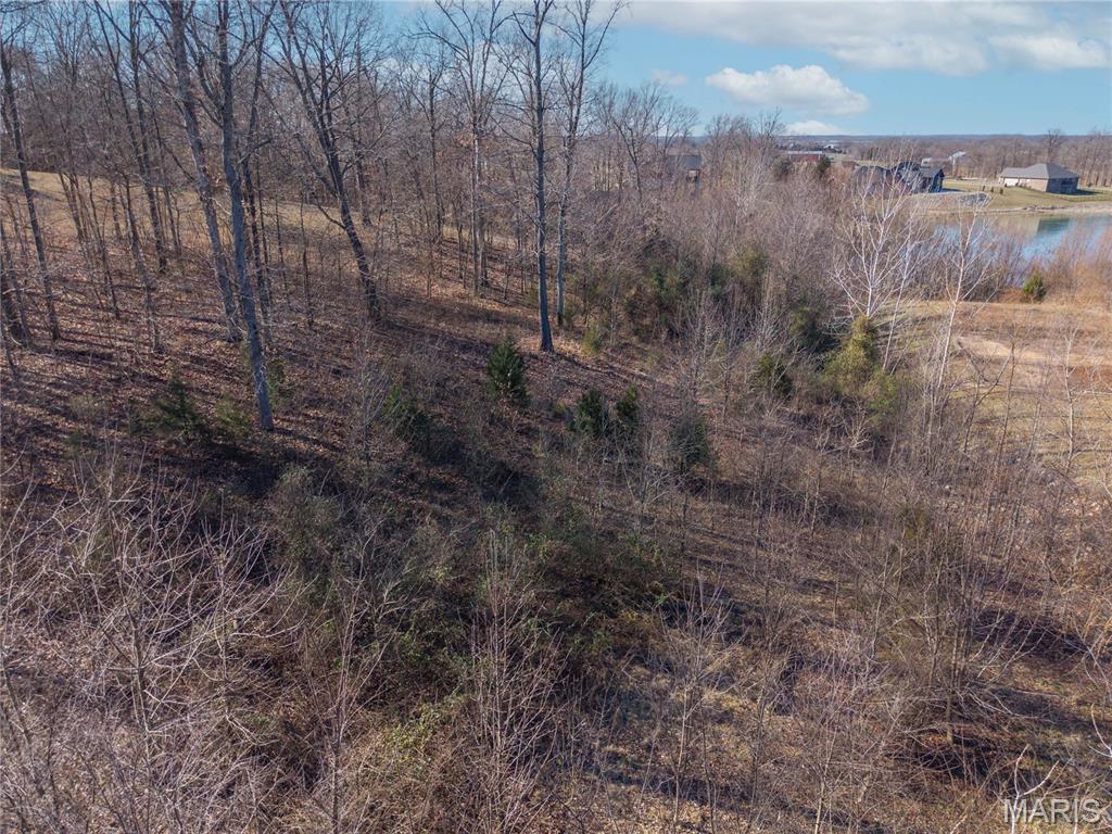 Saddlebrooke Ridge - Land