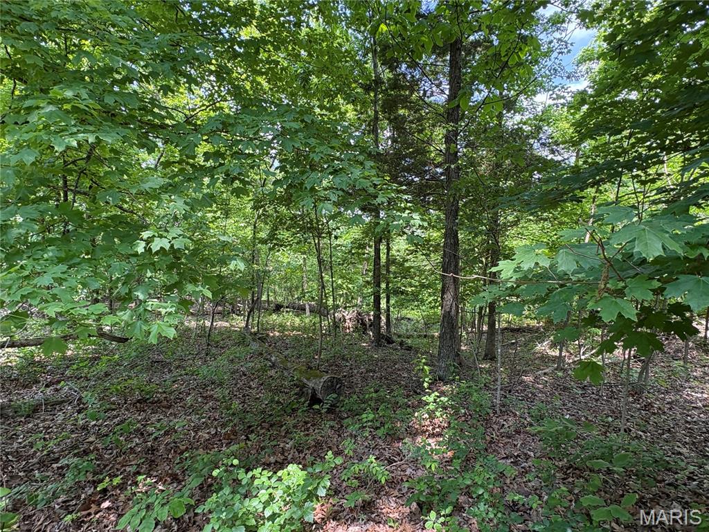 This gently sloping, build-only lot offers plenty of mature trees to shade your future lake home! Located just up the road from the West Gate entrance, it has quick and easy access. This lot is also located near the West Gate pavilion, playground, boat ramp, beach, shower/laundry house and picnic areas. The gated community of Lake Perry offers a 200+ spring-fed lake, great for boating, fishing and swimming. The community also offers a seasonal restaurant/clubhouse, swimming pool, marina and so much more!