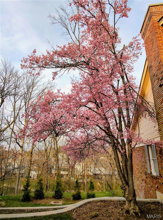 Baywood Villages Condo Ph Five - Residential