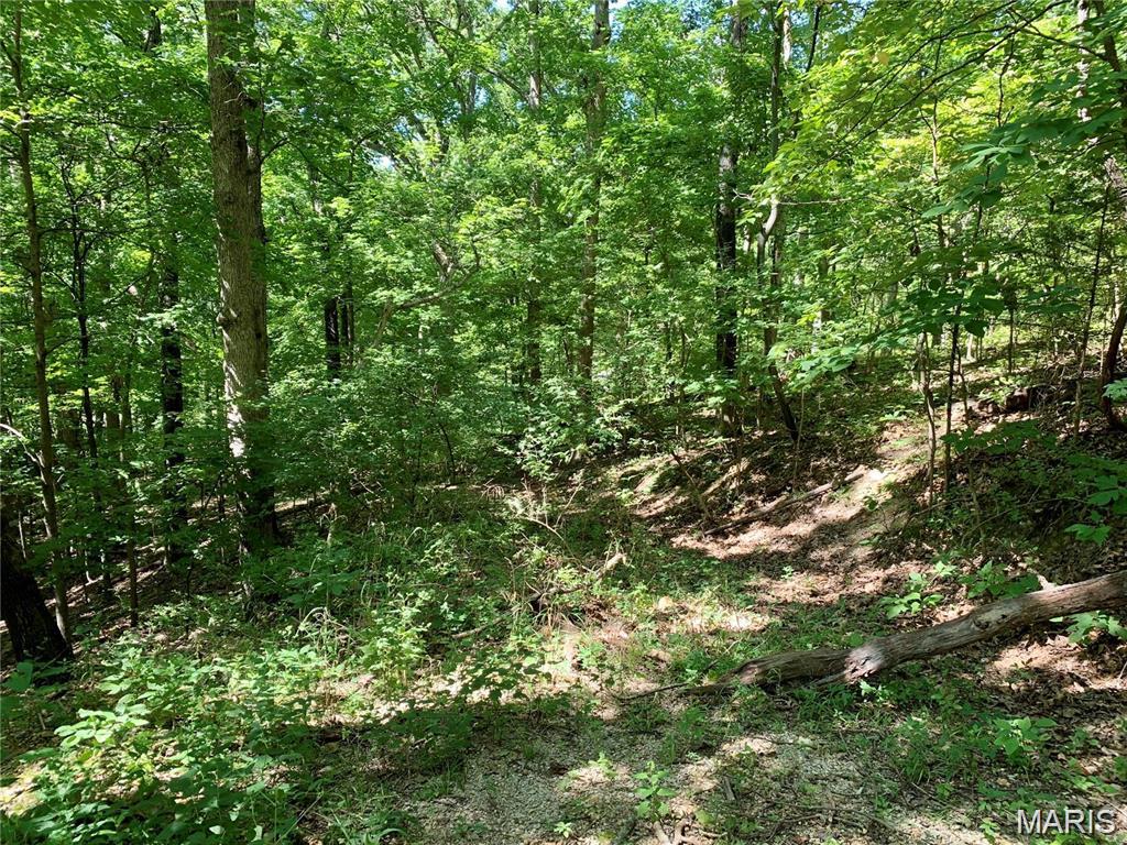 Greenwood Acres - Land