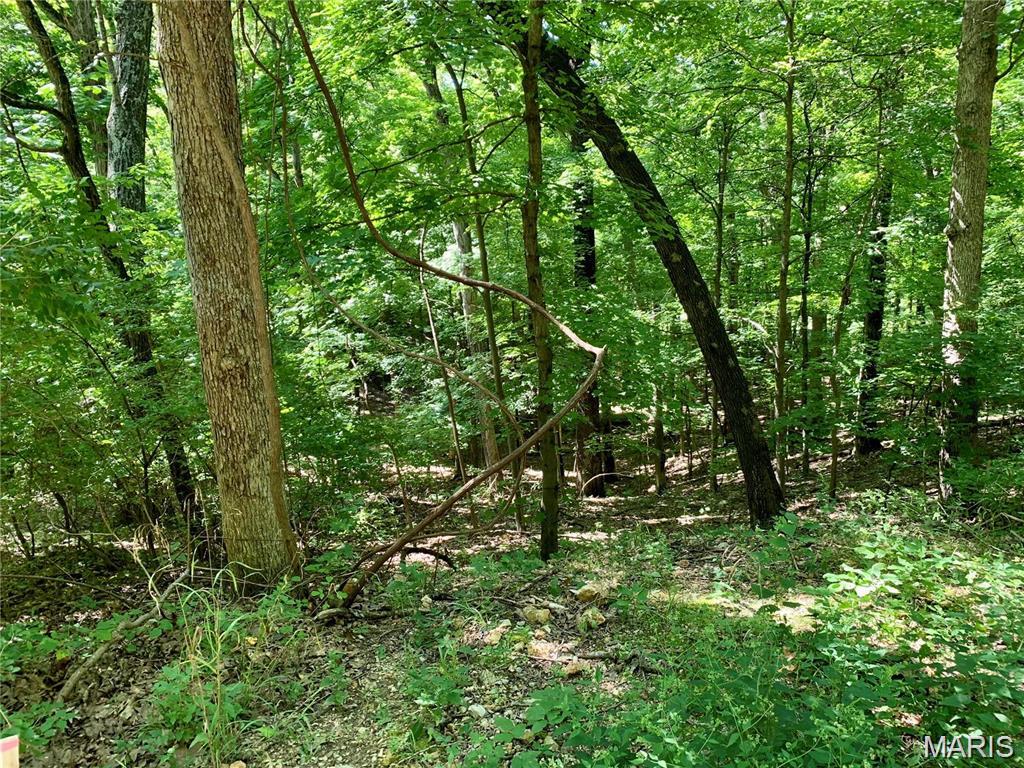 Greenwood Acres - Land
