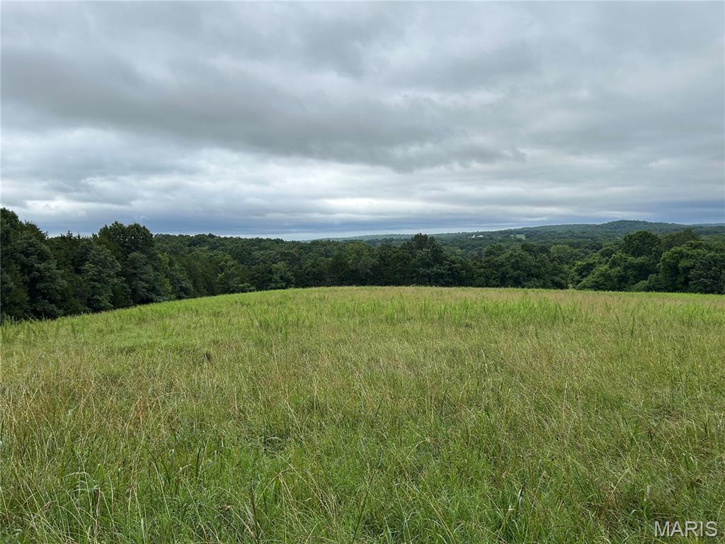 Discover the perfect blend of beauty, recreation, and opportunity with this stunning 104± acre property in the Hillsboro School District. Featuring a mix of open pasture ground, rolling hills, and wooded areas, this versatile property is ideal for horses, livestock, farming, hunting, or creating your dream country estate.  Several cleared areas provide ample space for grazing, riding, or agricultural use, while a small dry creek and mature timber create a natural habitat that attracts abundant wildlife, including deer and turkey. Outdoor enthusiasts will appreciate the exceptional hunting opportunities and the peaceful setting.  Scattered throughout the property are several elevated locations offering spectacular panoramic views of the surrounding countryside—perfect spots for a future home, weekend retreat, or hunting cabin. Whether you're looking for a working farm, recreational getaway, or private estate with room to roam, this exceptional acreage offers endless possibilities.