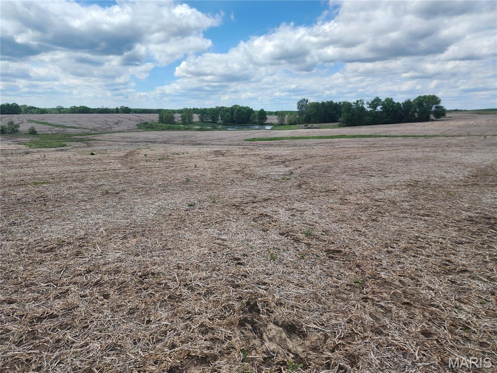 Randolph 167.88 surveyed acres 122 ac tillable was in beans for 2025. Owner has a 3-year lease in place 2026-2027 $24,400 paid upfront each April 1, additionally has a hunting lease in place paying $4,000 
Property has 5 ponds with the larger ponds being stocked. Priced at $5750 ac