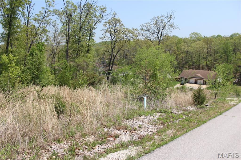 Building lot ready for your new home! Close to Fort Leonard Wood and amenities. Some utilities available. Perfect setting in a desirable area. In Platted Subdivision. Restrictions apply. LOT 48 - ROCKY POINT PLAT NO 6 34-36-11 consisting of .28 acres m/l