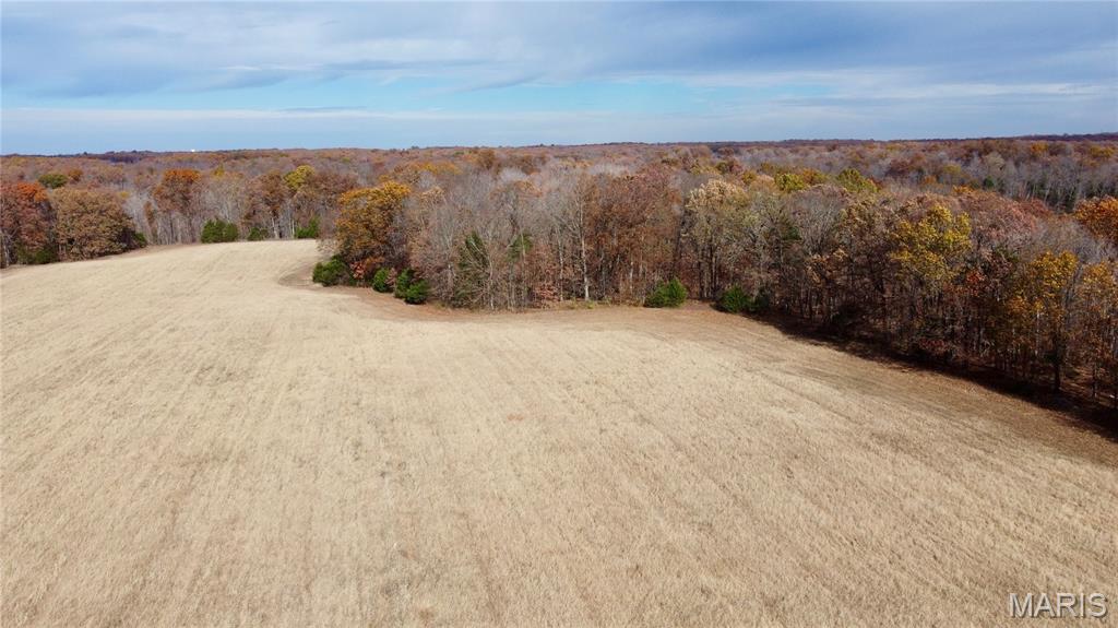 Polston Farms - Farm