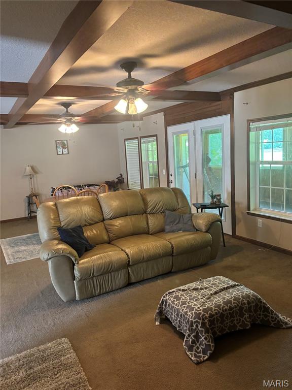 Spring Valley Resort - Commercial Sale
