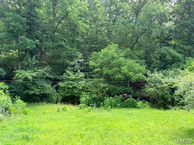 Discover the perfect spot to build your dream home, weekend getaway, or recreational retreat on this beautiful 5.71-acre lot in Mill Spring, Missouri. Enjoy the peace and privacy of country living while being just minutes from the Black River, offering easy access to fishing, floating, swimming, and camping. This property provides plenty of room to spread out and enjoy the outdoors. Need more space? An adjoining 5.57-acre lot is also available, creating an opportunity to own over 11 acres. Whether you're looking to build now or invest for the future, this property offers endless possibilities in a scenic Ozark setting.