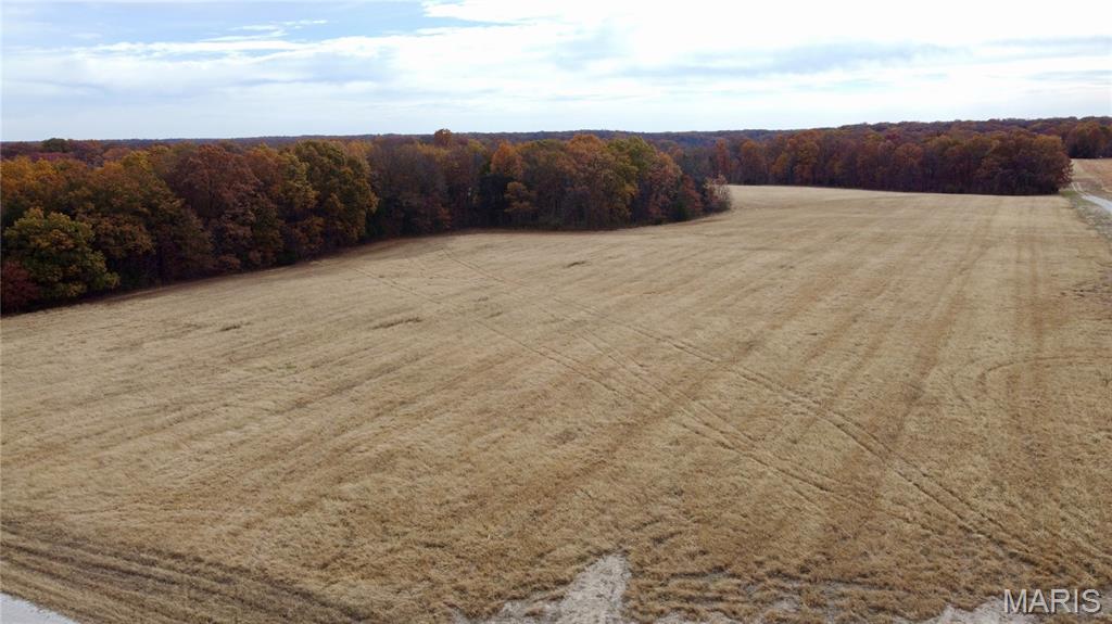 Polston Farms - Farm