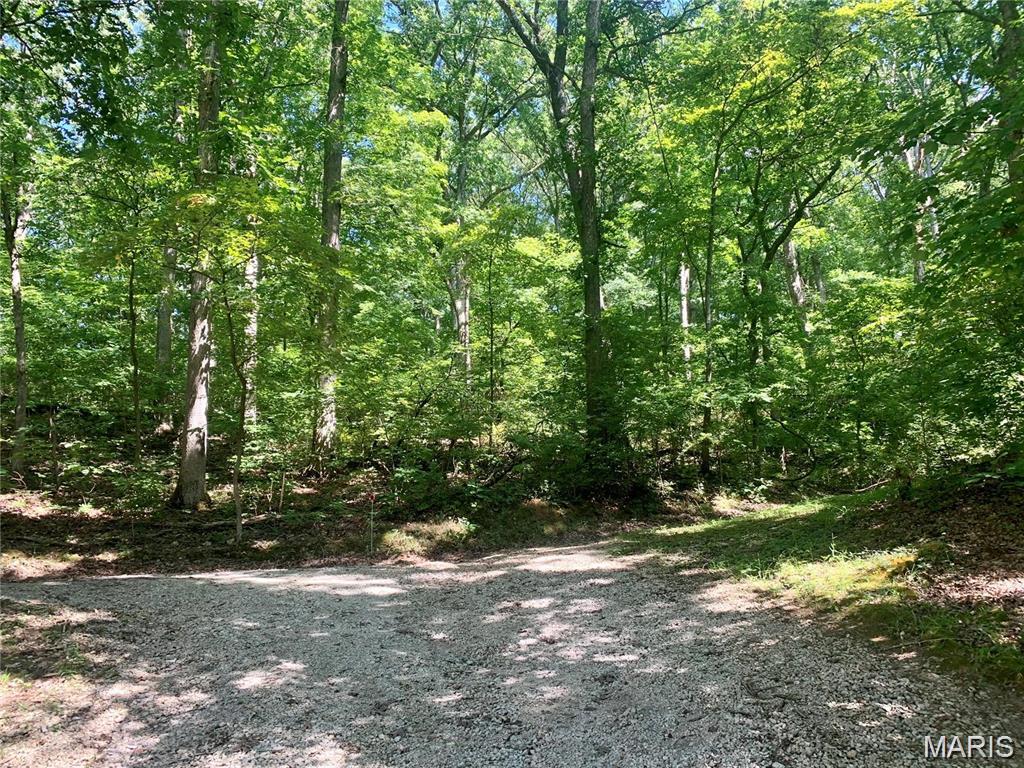 NEW PRICE!!!  One of 3 Adjoining Lots totaling 3.47 Acres for Sale in Dogwood Acres.  Heavily wooded and perfect for Building your Custom Dream Home or Private Getaway.   Paved Roads.  Nearby Public Utilities.  Easy access to New Hwy 21.  Minutes from Arnold or Fenton. Rock Creek Sewer and Water District (C-1). Property backs to Greenwood Acres. Fox C-6 Schools!