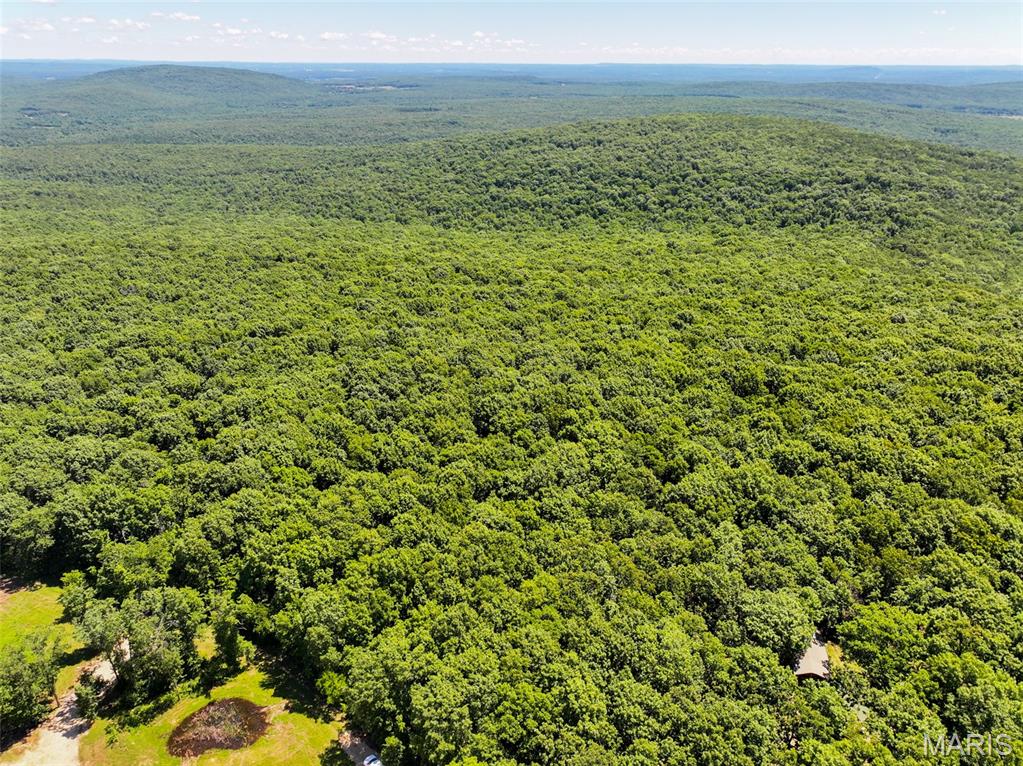 Located in southwest St. Francois County, this all-timber tract offers a versatile opportunity for recreation, hunting, or a future cabin or country home. Situated at the end of a dead-end gravel road, the property enjoys a private setting with limited traffic, creating a quiet atmosphere for outdoor recreation and everyday enjoyment. The wooded landscape provides excellent cover and habitat for whitetail deer, wild turkey, and other native wildlife, making it an attractive property for hunters and outdoor enthusiasts. Electric is available along the county road, adding convenience for those considering a future building site. Whether you're looking for a weekend retreat, a hunting property, or a place to build and enjoy the outdoors, this tract offers a combination of privacy, natural beauty, and accessibility. Spend your time exploring the woods, establishing hunting locations, or planning your future cabin or home while enjoying the peaceful surroundings of rural St. Francois County. The property's timbered landscape provides a secluded setting and opportunities to enjoy the outdoors throughout the seasons. Its location at the end of a dead-end gravel road enhances the sense of privacy while still offering convenient access to nearby communities. If you've been searching for a wooded tract with utility access, hunting opportunities, and a potential building site in southwest St. Francois County, this property is worth a closer look.