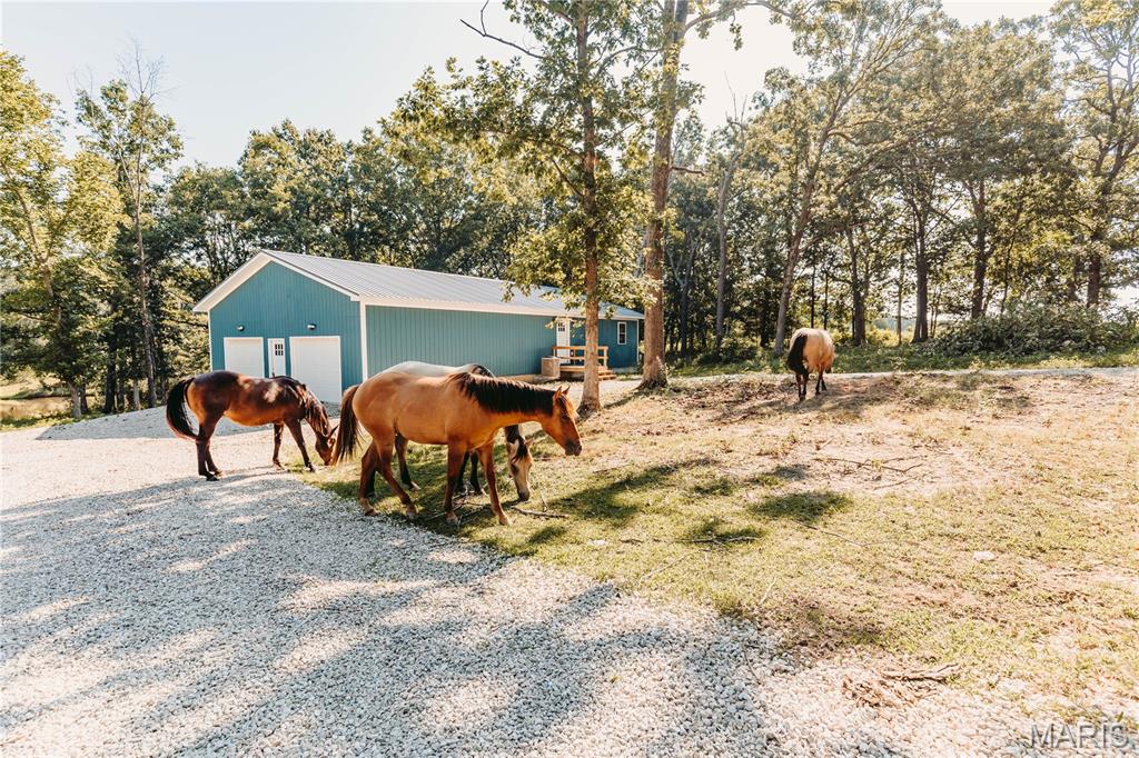 More photos coming soon! On approximately 28 acres of gently rolling pasture, mature woods, and a stocked pond, this unique property offers the perfect blend of privacy, recreation, and convenience just a short drive from town. Built in 2022, the one-level metal-construction shouse is designed for easy maintenance and comfortable country living. The open-concept floor plan is highlighted by a cozy wood-burning stove, antique kitchen cabinetry that adds warmth and character, and easy access to the mudroom, attached garage, and front screened porch. The spacious 25' x 8' screened-in porch provides the perfect place to enjoy morning coffee, evening sunsets, or peaceful views overlooking the stocked pond while watching horses graze, wildlife roam, and the changing seasons unfold. The thoughtfully designed bathroom features an antique vanity and offers convenient access from the primary bedroom, main living area, and laundry room. The attached 1000 square foot shop/garage provides ample room for vehicles, equipment, recreational toys, or hobbies, complete with built-in shelving for additional storage. Just outside, a concrete pad with RV hookup creates additional opportunities for guests, travel trailers, or future expansion. Whether you're looking to establish a homestead, create a weekend getaway, enjoy exceptional hunting and wildlife watching, operate a short-term rental or Airbnb, or simply experience peaceful country living with room to roam, this property offers possibilities. With wooded acreage, open pasture, a horse corral, and a stocked pond, there is plenty of space for livestock, recreation, gardening, or outdoor adventures while still enjoying convenient access to nearby amenities.