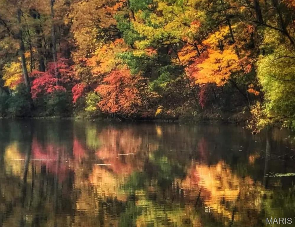Dogwood Lake - Land