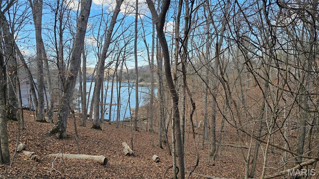 Gorgeous lake view property on Lake Sherwood MO! Come see for yourself! Located in a cove on the South Side near the dam. Property is perfect for a walk out basement style home with a fantastic view of the lake. Store your kayaks close to the back property line and get in the Lake from your own back yard! Buy it for access to Lake Sherwood's amenities, clear it out and maintain for a place to relax, or start building right away... your choice! Gently sloped lot with a beautiful view for a future Lake Sherwood home. Has been previously surveyed, and corner stakes are marked with pink ribbon.  Lake Sherwood is a gated, lake community located in Warren County MO. Owners enjoy use of all Lake Sherwood amenities, Six Lakes (one motorized, five non-motorized), Clubhouse & Lakeside Grill, Sand Beach to swim & play, 24 hour gated/staffed security, Marina, Fishing Docks, and Campground!  No tiny houses, no parking campers at the lot.  Gated community. You must have a Realtor with you to view this property.