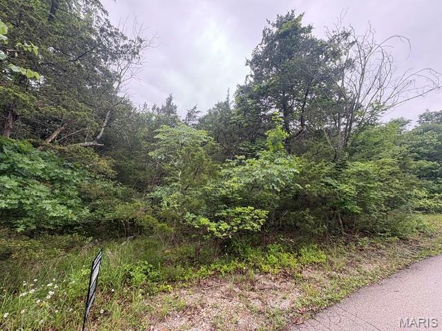 Build Your Dream Getaway Near Autumn Lake in Raintree Plantation! ????

Location, Location, Location! Conveniently situated just 1/4 mile from the rear gate and walking ditance to the Country Club, golf course, swimming pool, and restaurant. This spacious approximately 1/3-acre lot offers the perfect blend of accessibility, recreation, and future potential.

Whether you're ready to build your dream home now or simply want to secure an affordable piece of Raintree and enjoy its outstanding amenities, this property provides exceptional value in one of the community's most desirable locations.

Live like you're on vacation every day with resort-style amenities, including:

4 private lakes for boating, fishing, kayaking, and relaxation
Beaches, swimming areas, and beautiful lake views
Golf course, country club, and on-site restaurant
Hiking and biking trails, campgrounds, and sand volleyball courts
Golf cart-friendly streets for easy neighborhood living

Ownership includes access to the Country Club for just $271/year and full community amenities for only $299/year.

All of this is located just 35 minutes from South County (63128), making it the perfect weekend retreat or future full-time residence.

Be sure to view all photos and discover the incredible lifestyle that Raintree Plantation offers. As a resident myself, I can honestly say:

"It's an amazing place to live, play, relax, and make lifelong memories. Come join us!" ????????