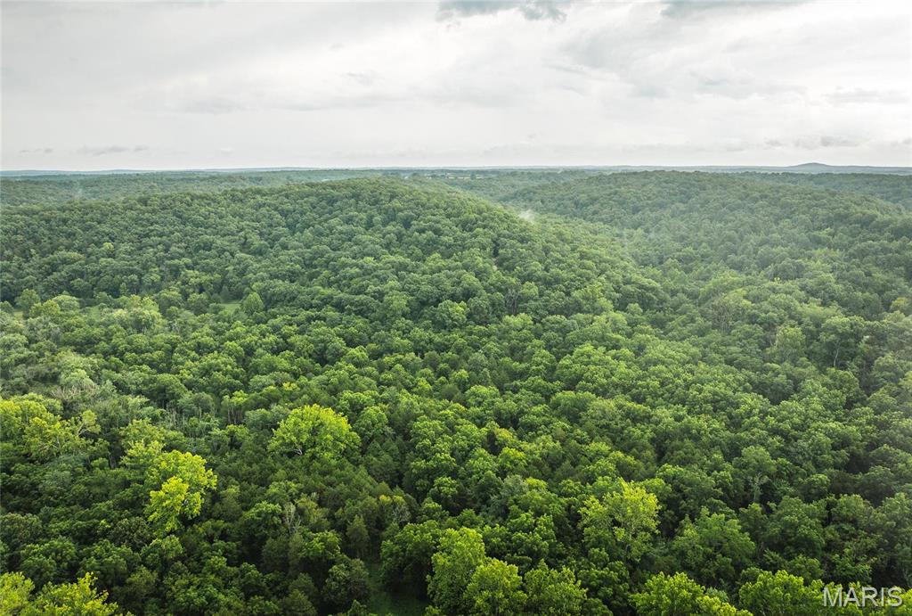 Discover 34 acres of wooded recreational ground in Phelps County, Missouri. This rolling-hills property offers excellent deer and turkey hunting with plenty of cover and natural habitat. Located close to Mark Twain National Forest, you’ll enjoy easy access to the Little Piney Creek for fishing, hiking, and additional hunting opportunities. A great setup for a hunting camp, weekend getaway, or long-term land investment. Come take a look today!
