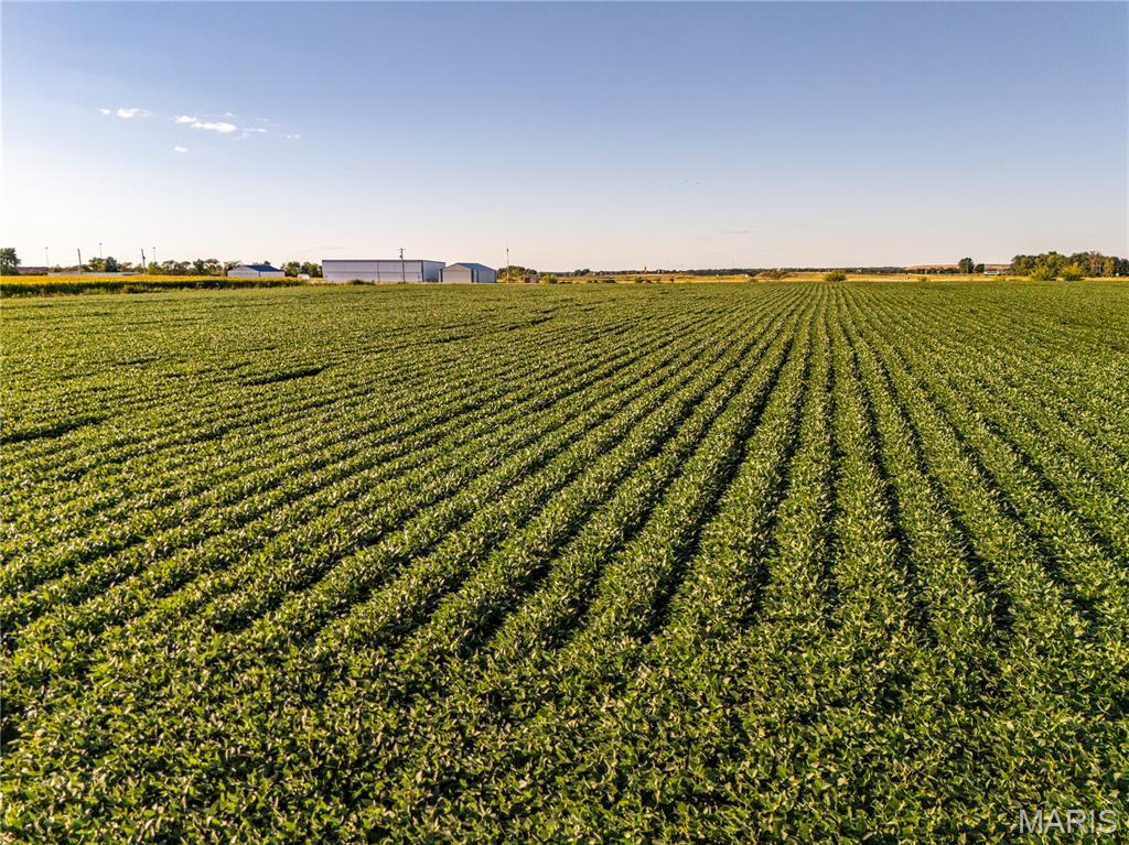 NA - Farm