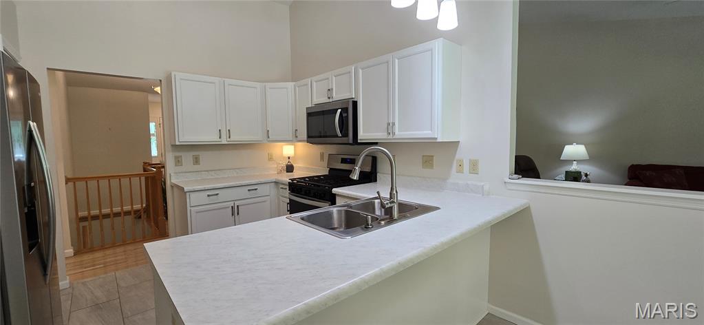 The Villas At Sterling Pointe Resub - Residential