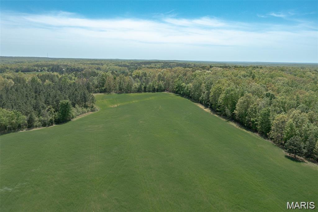 Annapolis Drive 43- This rolling farm lays well, consists of 26 cleared acres currently planted in beans and easily converted back to pasture. Two acre stocked pond and the balance is hardwoods and pines. Very scenic setting with multiple home sites and electric on the property. Located only 1 hour from Cape Girardeau, less than 2 hours from St. Louis and near Castor River and 10,000 acres of MDC public land that provides additional hunting, fishing, hiking and equestrian opportunities minutes away.