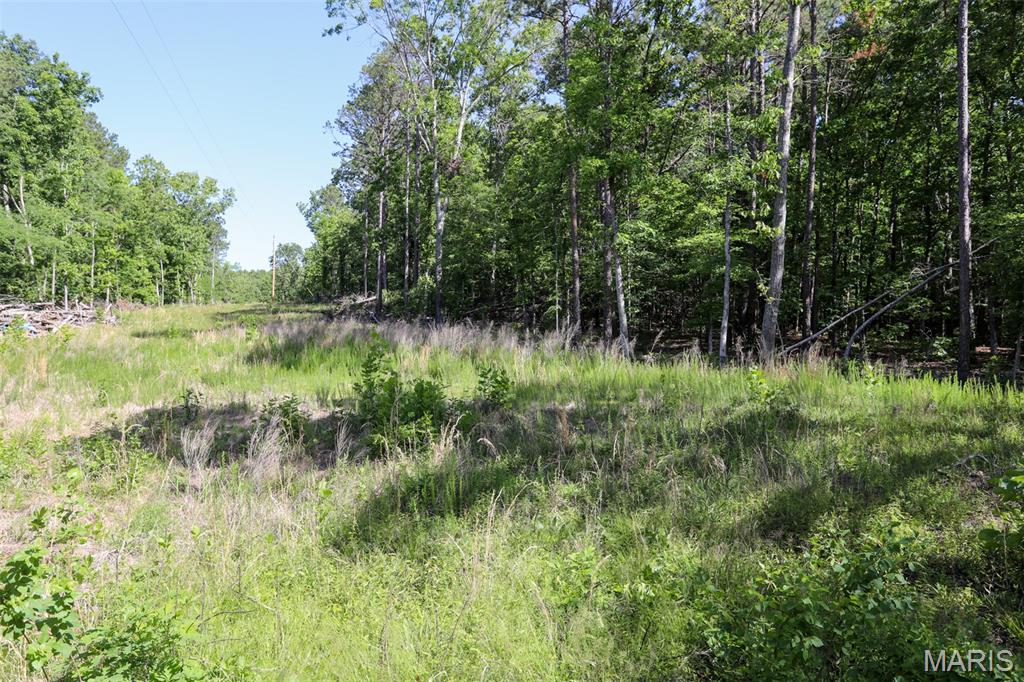 Turkey Creek - Land