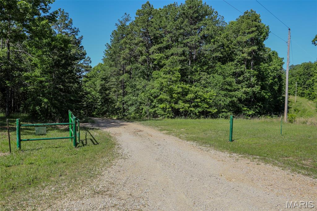 Turkey Creek - Land