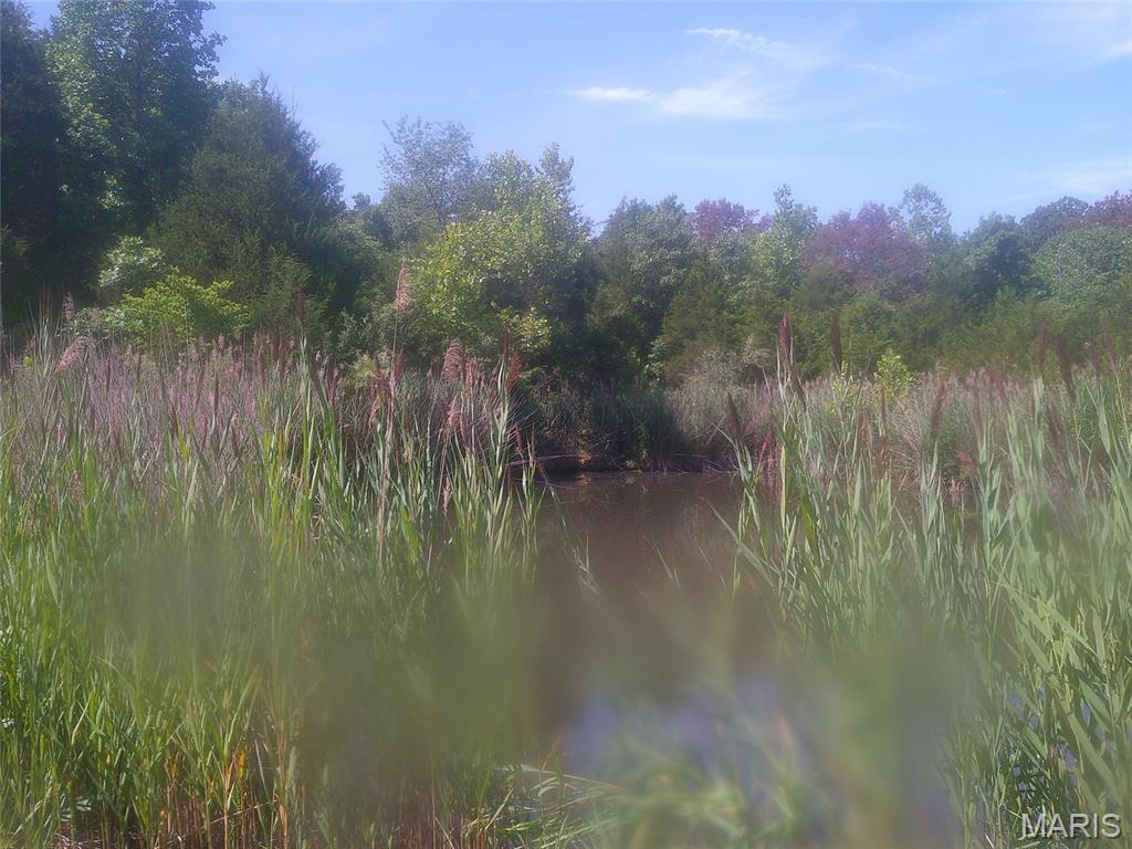 Unincorporated - Land