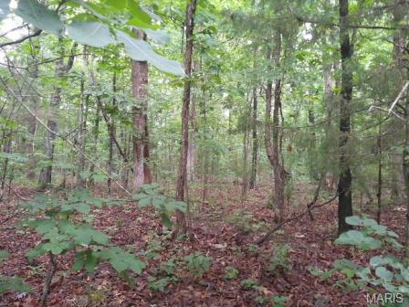 Unincorporated - Land