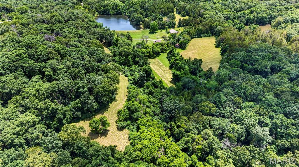 Forest Hills - Farm