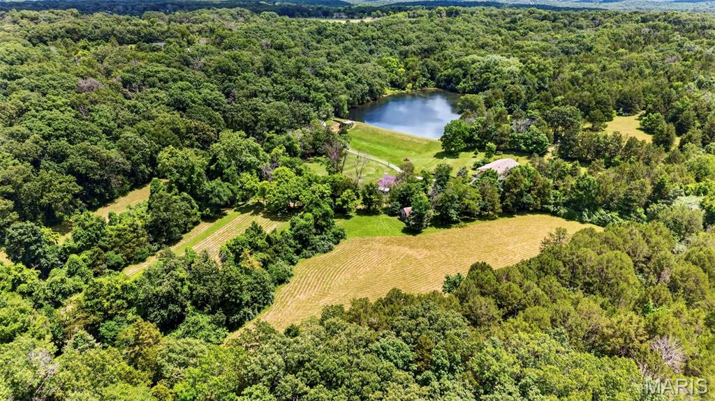 Forest Hills - Farm