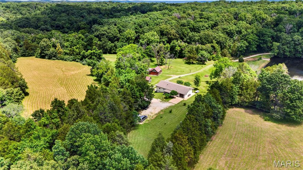 Forest Hills - Farm