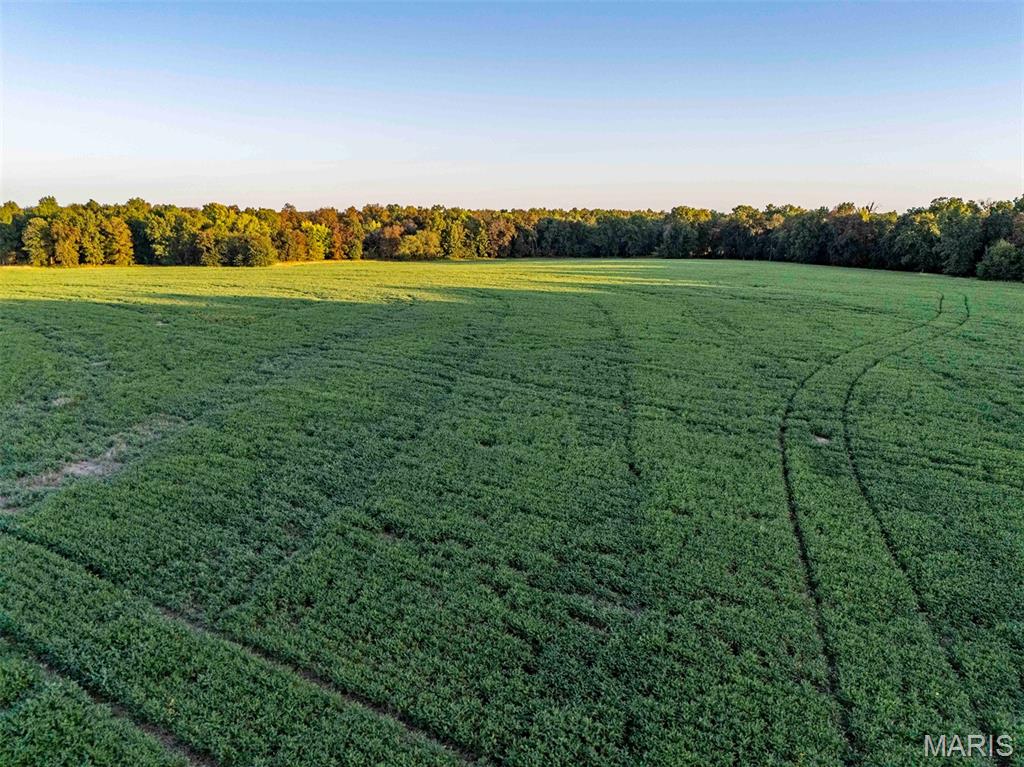 N/A - Farm
