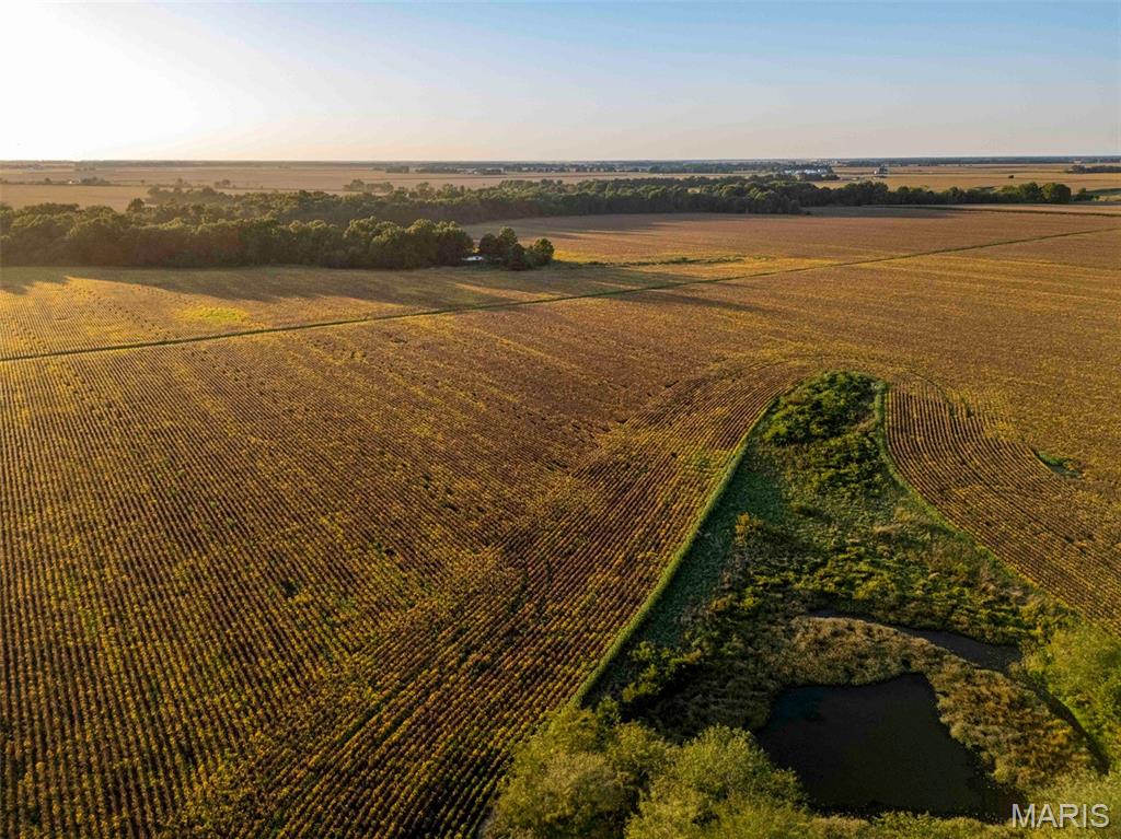 N/A - Farm