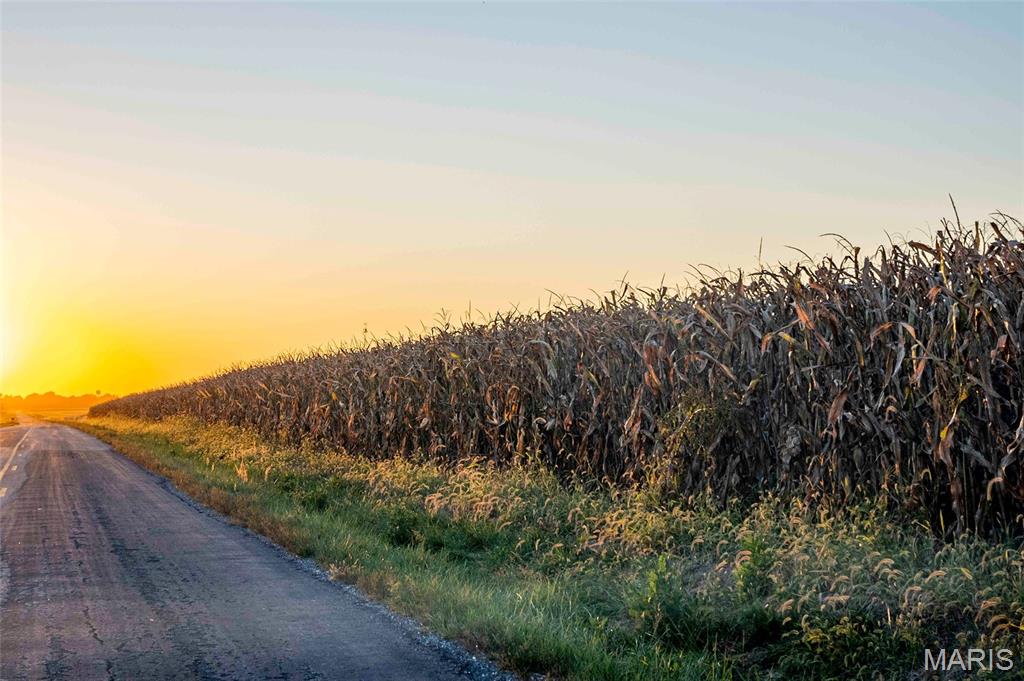 N/A - Farm