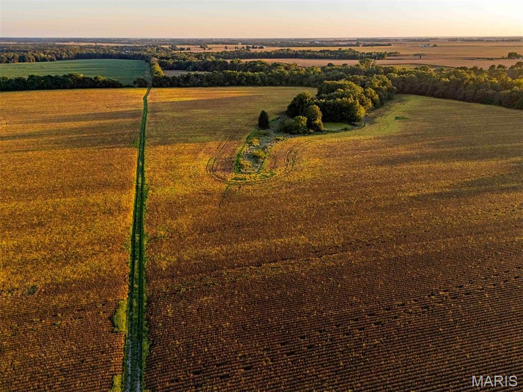 N/A - Farm