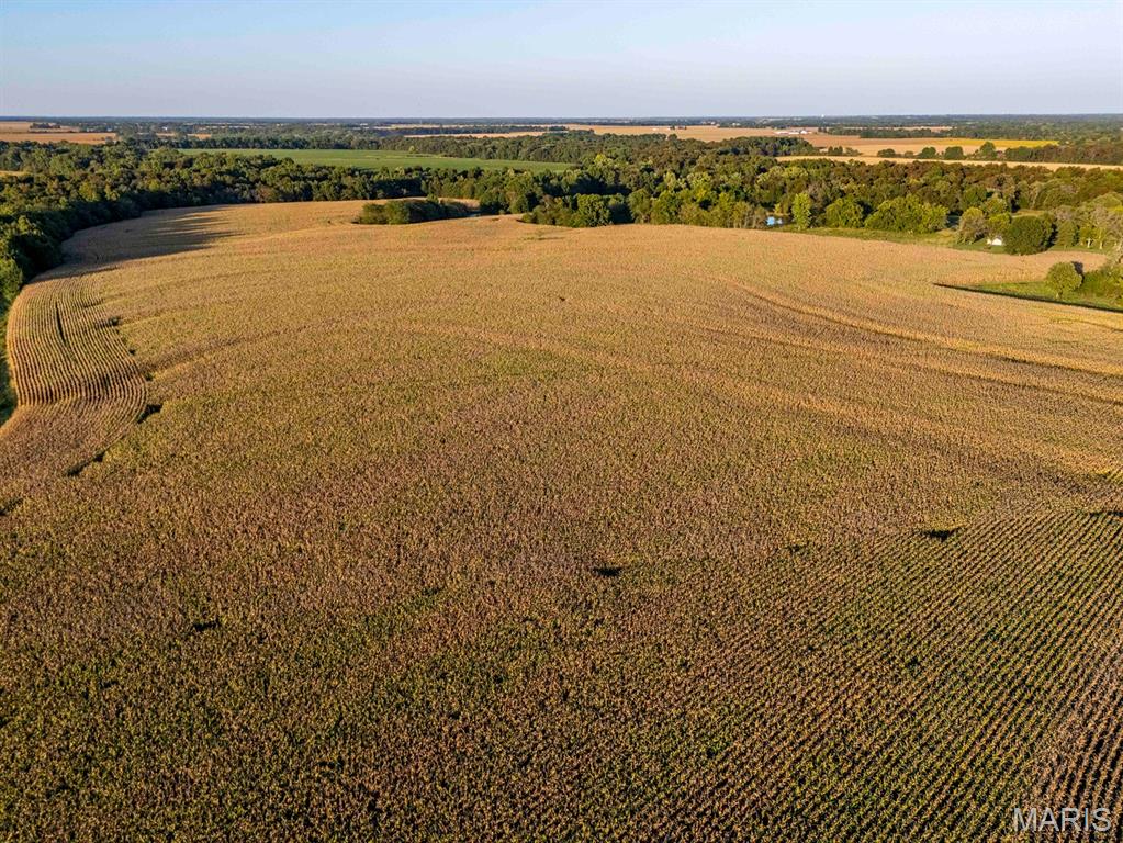 N/A - Farm