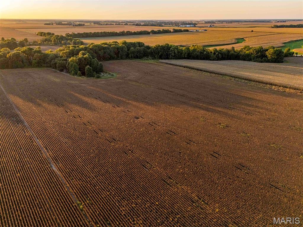 N/A - Farm