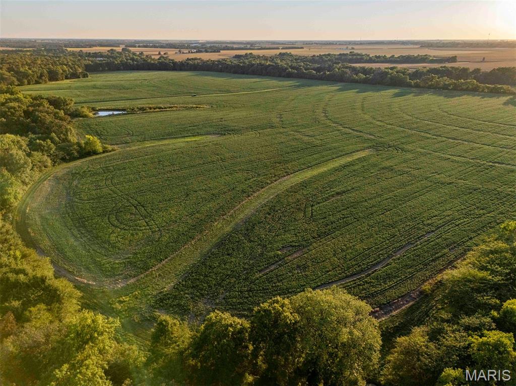 N/A - Farm