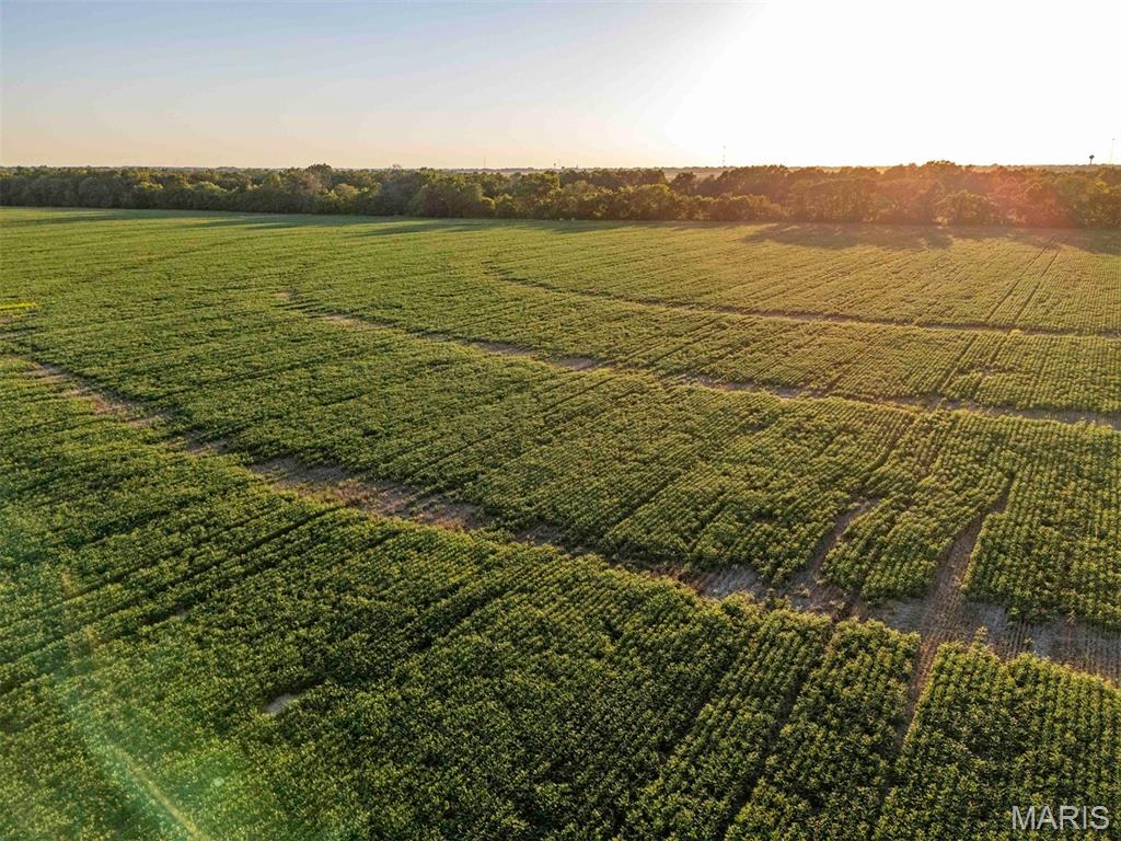 N/A - Farm