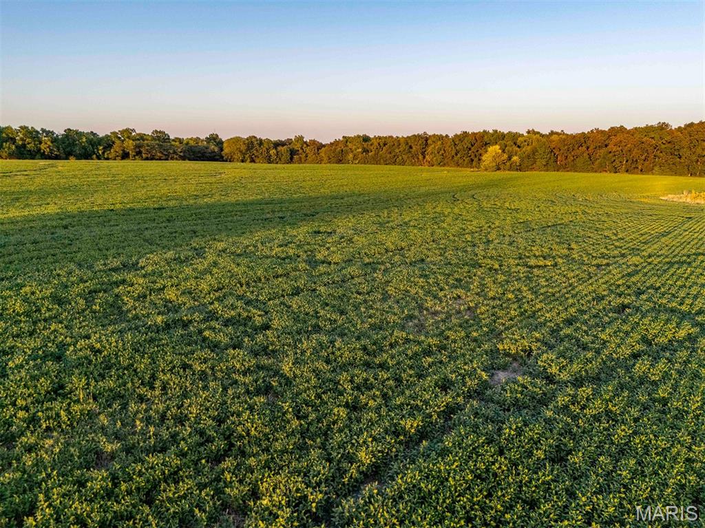 N/A - Farm