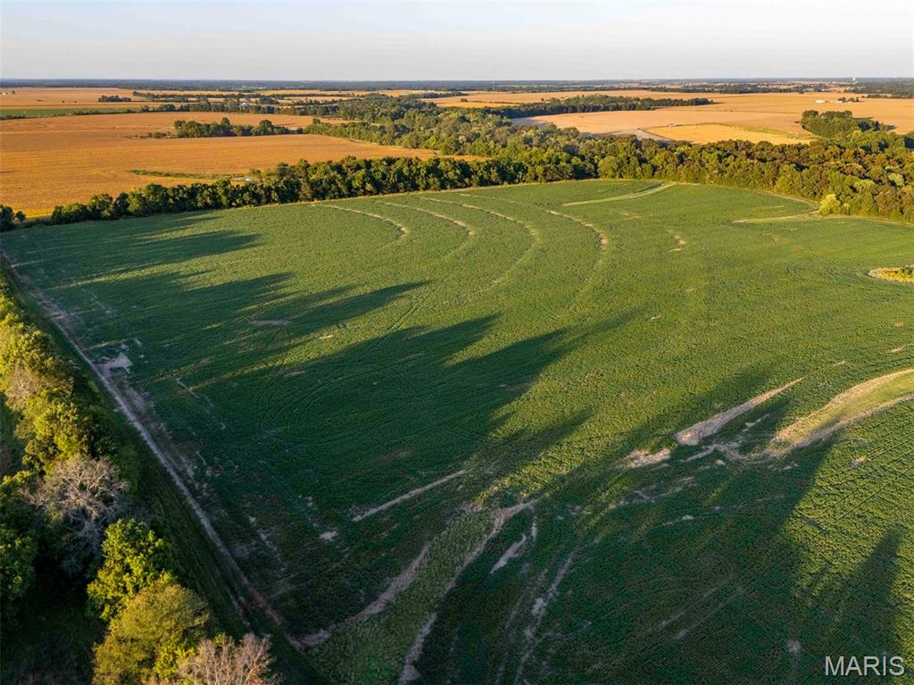 N/A - Farm