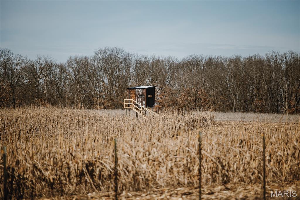 None - Farm