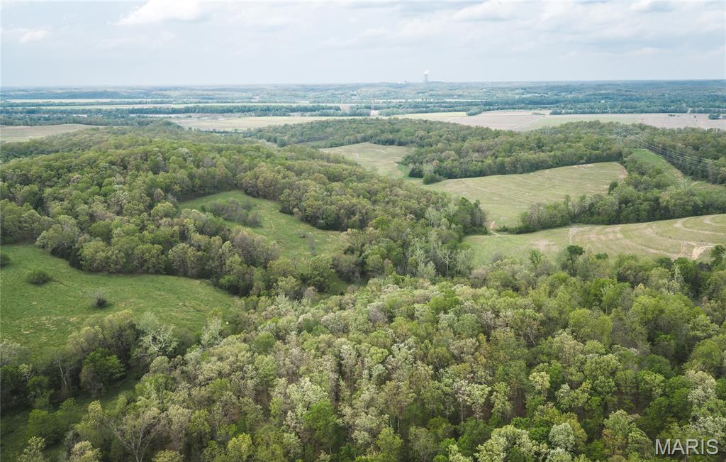 115 surveyed acres located in Chamois, Missouri in Osage County, just outside the rich crop fields of the Missouri River bottom. This diverse tract offers an outstanding mix of recreation, hunting, and potential homesite opportunities. An approximately 8-acre row crop field sits in the northeast corner, providing both annual income potential through cash rent or farming opportunities while also serving as a major destination food source for the area's deer population.
The southwest portion features an excellent ridge-top build site with scenic views and privacy. Directly behind the build site, an old logging road leads through a large block of mature hardwood timber, providing easy access throughout the property and a great spot to call in an old long beard. The creek, adjacent pastures, and several secluded pockets make ideal locations for additional food plots and wildlife habitat improvements.
This area is well known for producing giant whitetail bucks, and the turkey hunting is equally impressive. During the property video shoot alone, 7 toms and 4 hens were spotted on the tract. Whether you are looking for a premier hunting property, recreational getaway, investment property, or future build location, this Osage County farm offers tremendous potential in a highly sought-after area. Adjoining 112.5 acres also for sale and could be added to create a 227.5 Acres tract.