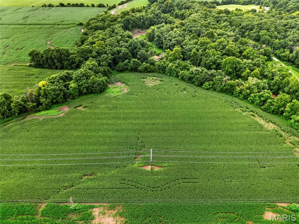 N/A - Farm