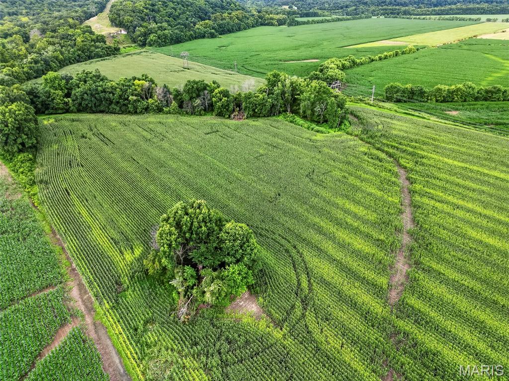 N/A - Farm