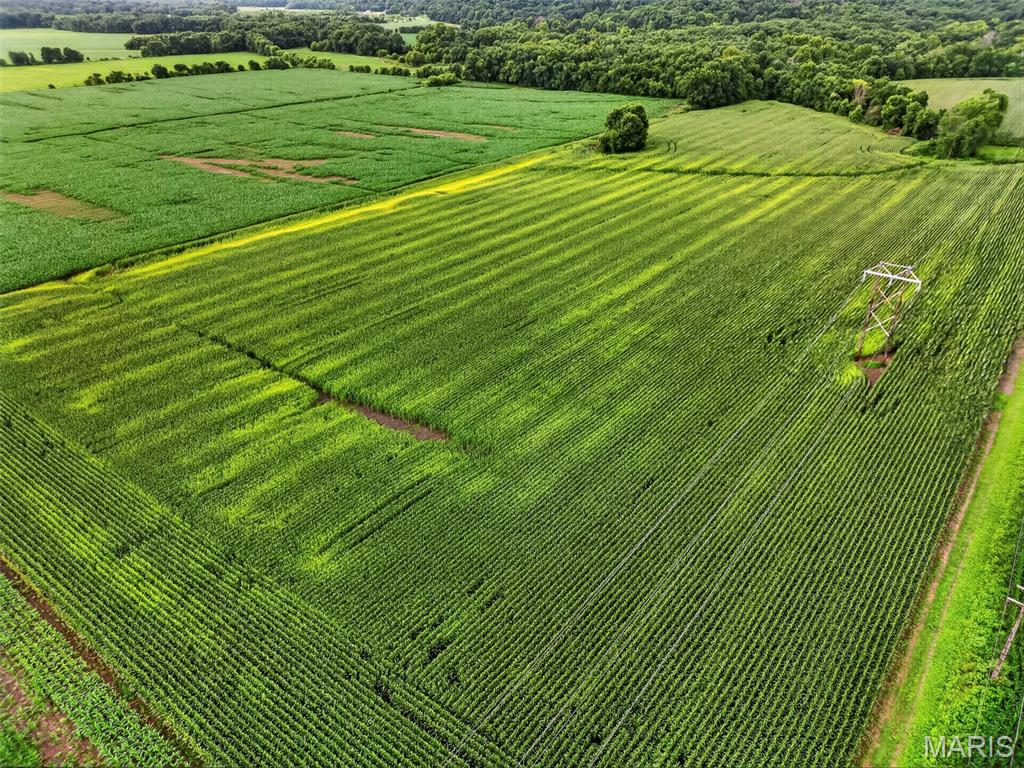 N/A - Farm