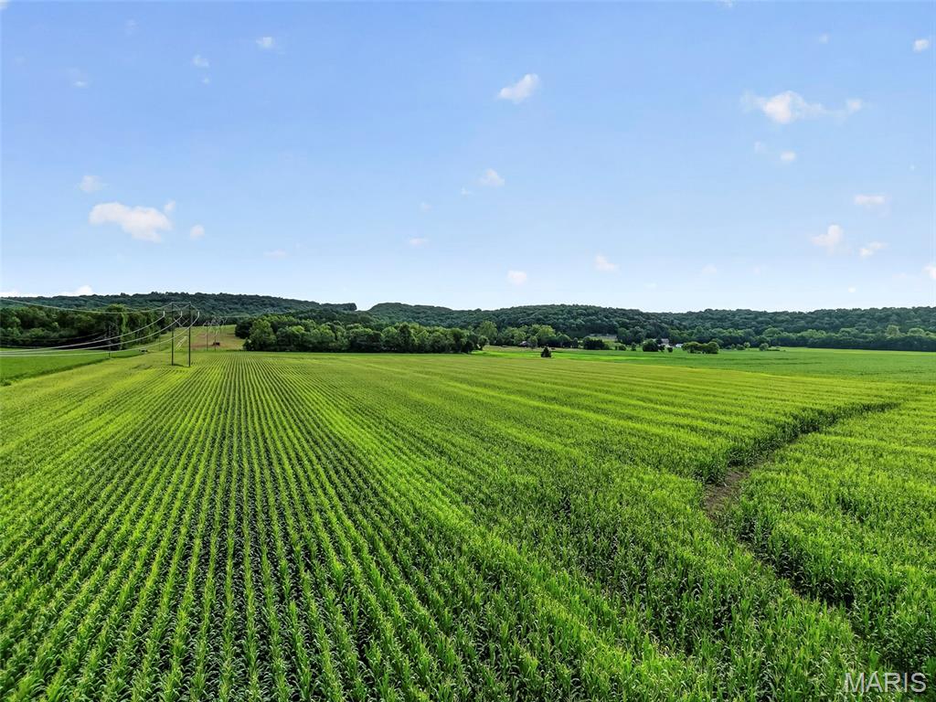 N/A - Farm